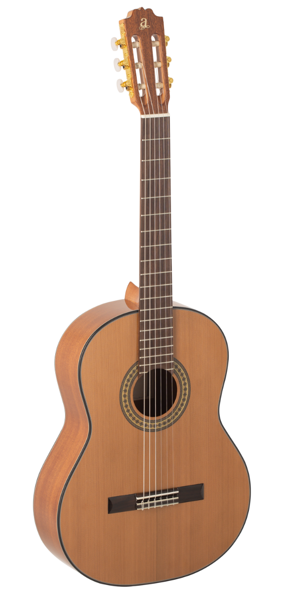 Fundas guitarra clasica