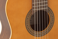 ADMIRA JUANITA (Serie Estudio)