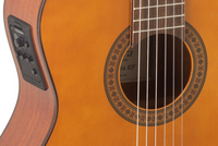 ADMIRA JUANITA (Serie Estudio) ELECTRIFICADA FISHMAN