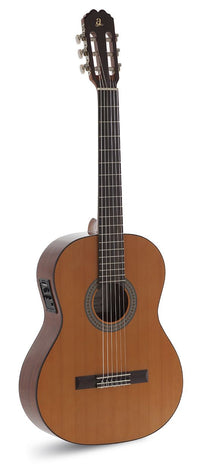 ADMIRA JUANITA (Serie Estudio) ELECTRIFICADA EQ6