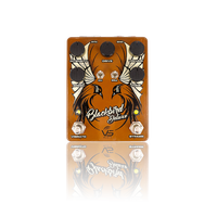VS AUDIO BLACKBIRD DELUXE