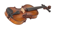 VIOLIN CARLO GIORDANO VS15 1/2