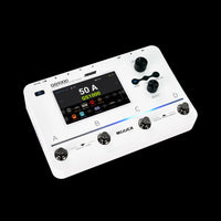 MOOER GS1000